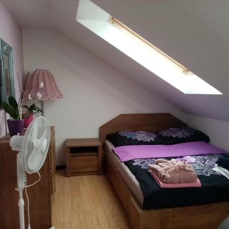 Apartmán Podkrovni Apartman Tereza Rumburk Exteriér fotografie