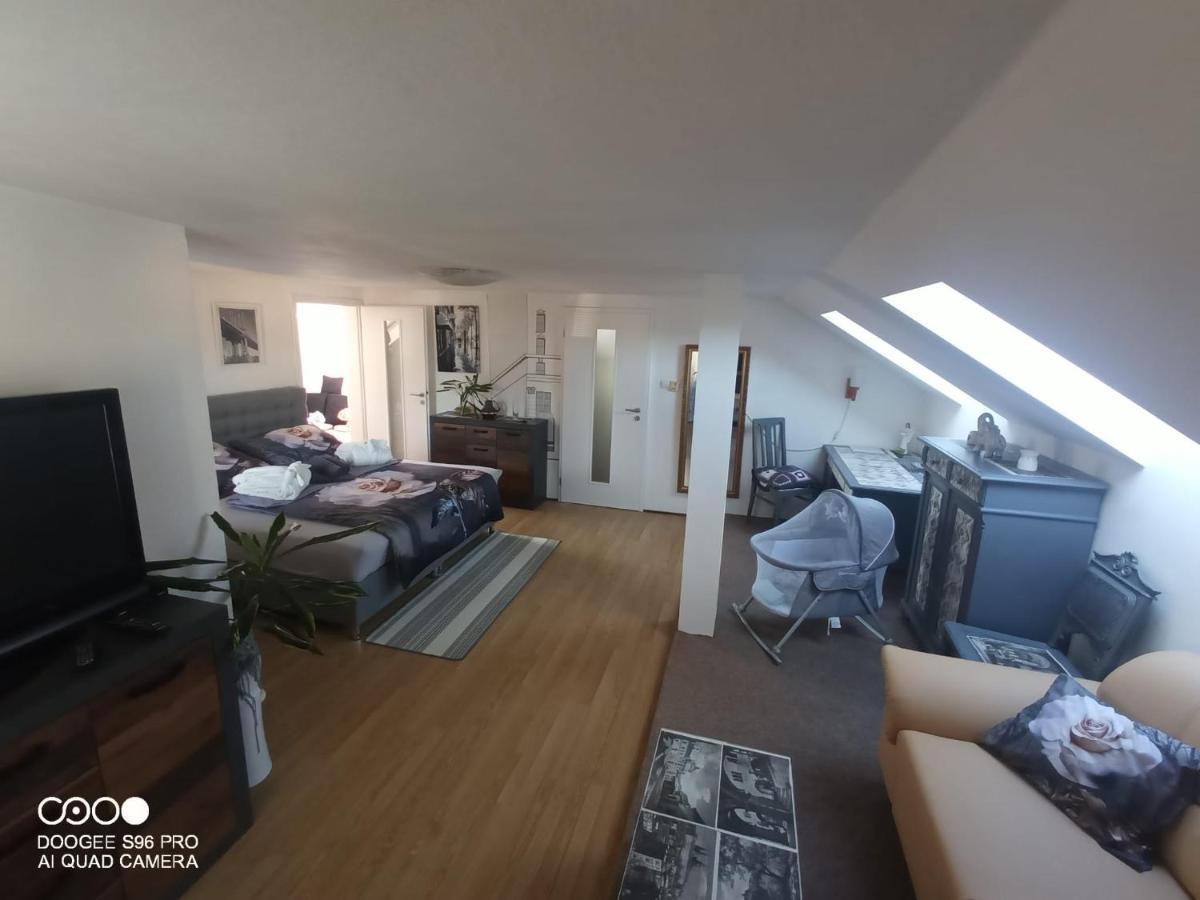 Apartmán Podkrovni Apartman Tereza Rumburk Exteriér fotografie