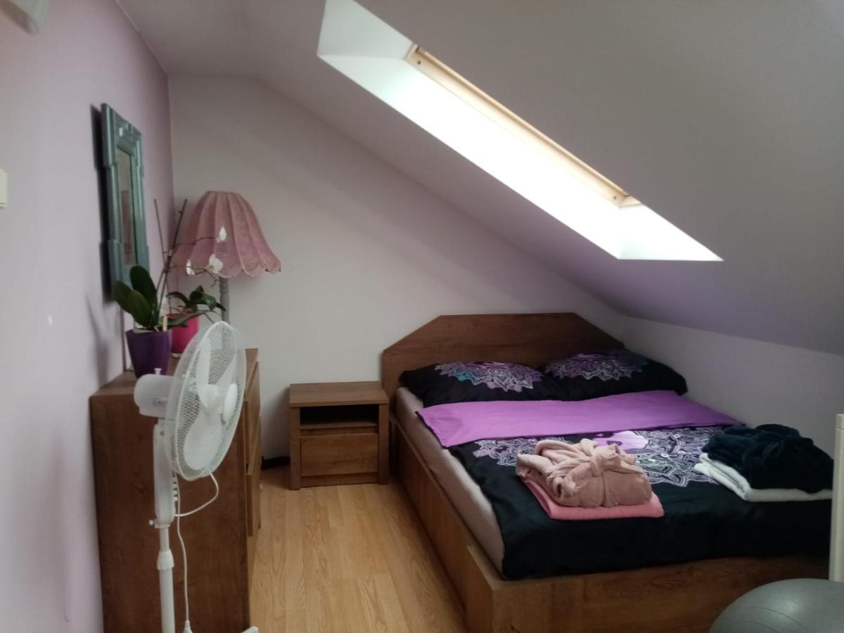 Apartmán Podkrovni Apartman Tereza Rumburk Exteriér fotografie