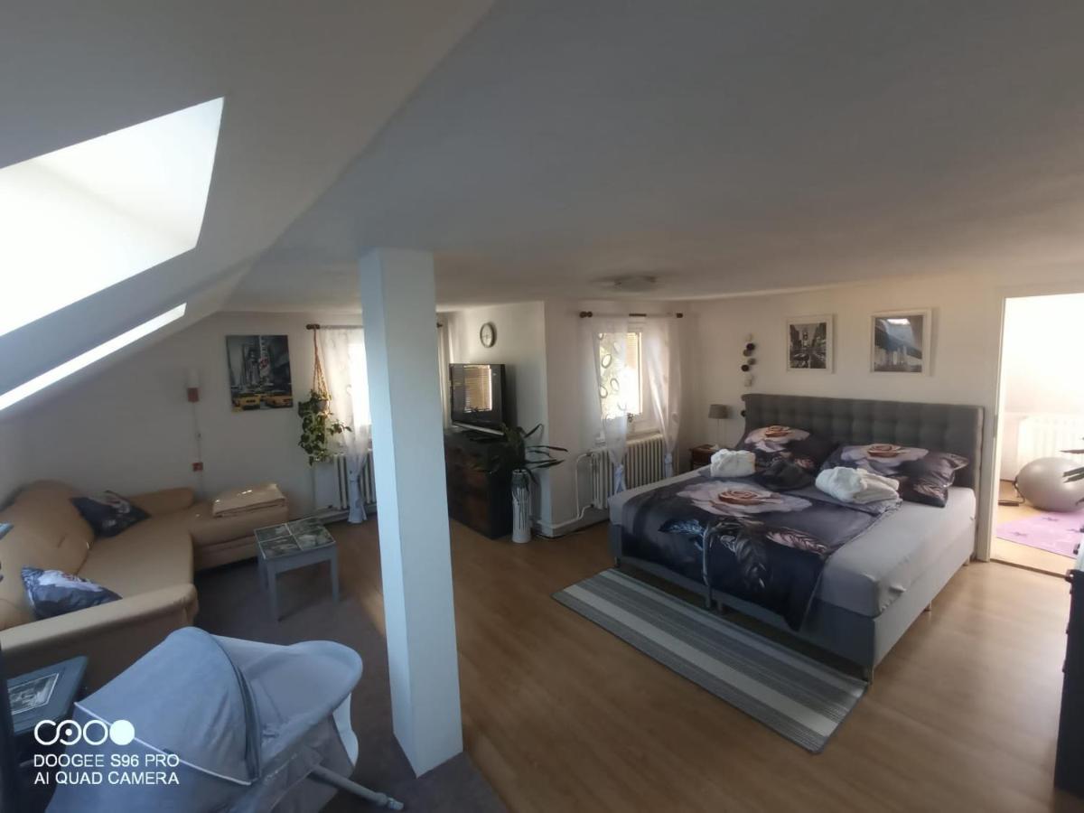 Apartmán Podkrovni Apartman Tereza Rumburk Exteriér fotografie