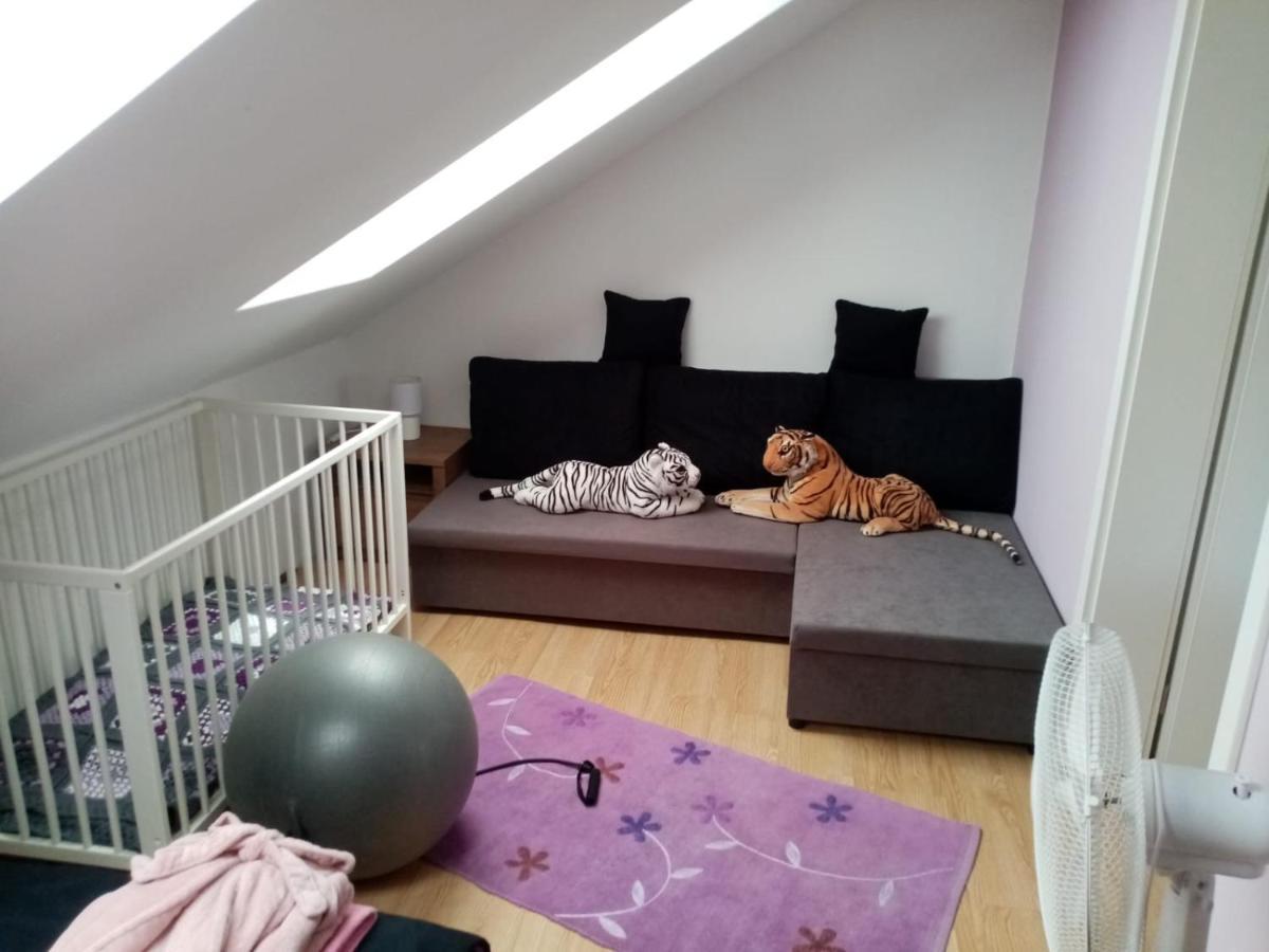 Apartmán Podkrovni Apartman Tereza Rumburk Exteriér fotografie